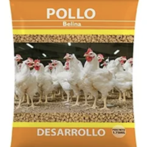 POLLO BELINA FASE DESARROLLO