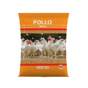 POLLO BELINA FASE INICIO