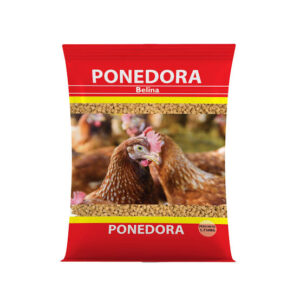 PONEDORA BELINA 18%