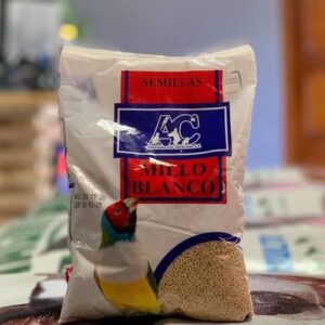 SEMILLAS DE MILLO BLANCO