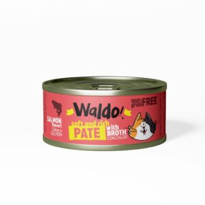 Waldo – Lata Salmon Flavor (Salmon)