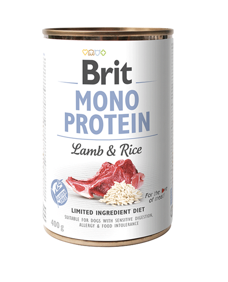 Brit Mono Protein - Lamb & Rice