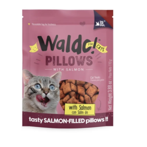 WALDO Pillows Salmón