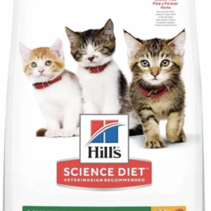 HILLS CAT KITTEN CKN