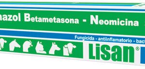 Clotrimazol Betametasona – Neomicina