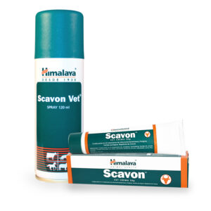 Scavon