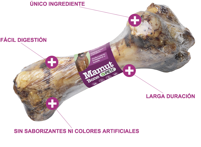 Hueso De Cerdo Mamut Natural Perro Mas Q Pets