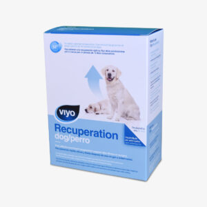 Viyo – Recuperación Perro